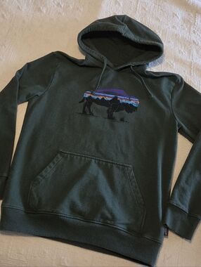 Patagonia Dark Green Crewneck Hoodie with Mountain Bison Graphic, Size Medium